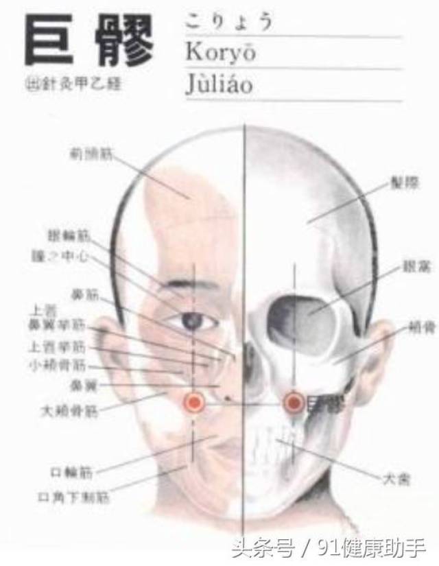 穴位养生|口眼㖞斜,鼻出血,唇颊肿按巨髎,清热息风,明目退翳