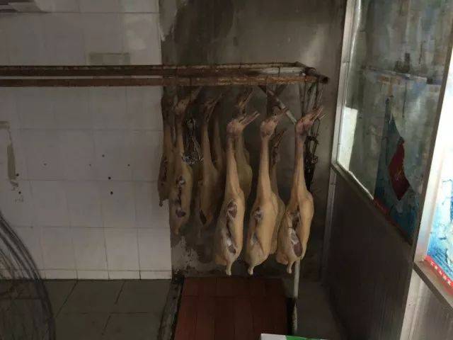 马桶边上制作盐水鹅,鸭肉满是污垢!苏州人当心,这些黑心食品专门卖给......