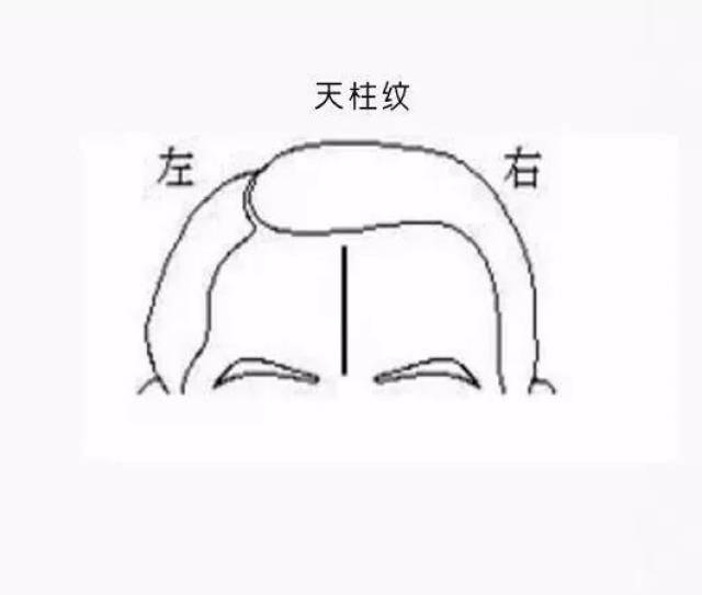 额头看富贵吉凶:传统面相学中的"抬头纹"有什么说法?