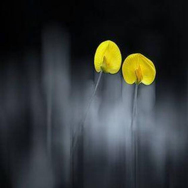 哲学中的逻辑实证主义与存在主义!科学与人文