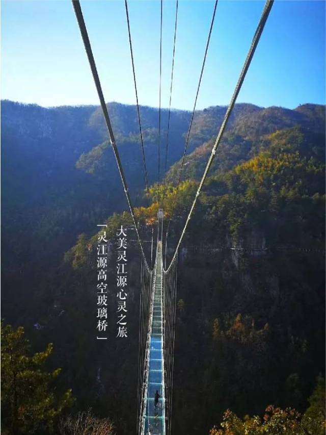 华东高空玻璃桥-磐安灵江源仙境-玻璃栈道,一次让你玩个爽