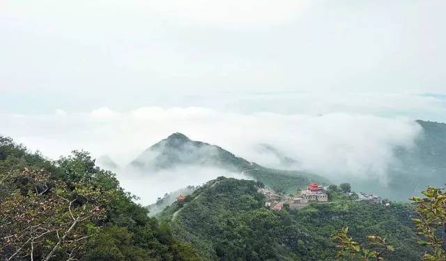 火爆!磁县这个风景区人山人海…