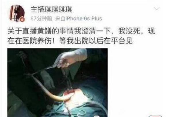 去年的这个时候,全网被被女主播琪琪直播黄鳝门视频事件给刷了屏