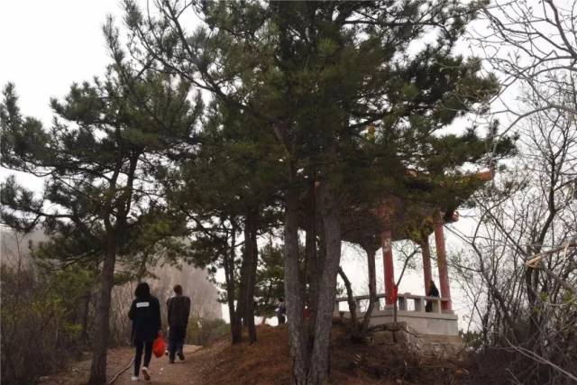 火爆!磁县这个风景区人山人海…