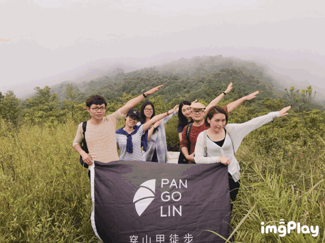 体验攻略 | 深圳马峦山大岭古线17km徒步_手机搜狐网