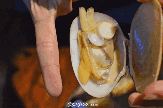 640_425gif 动态图 动图