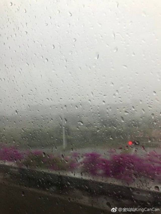 冷冷的冰雨在脸上胡乱的拍