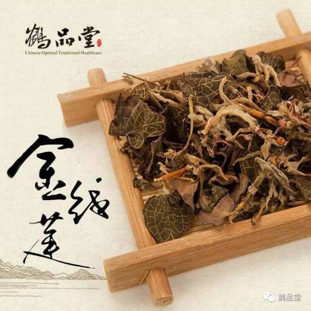 金线莲的药用价值介绍