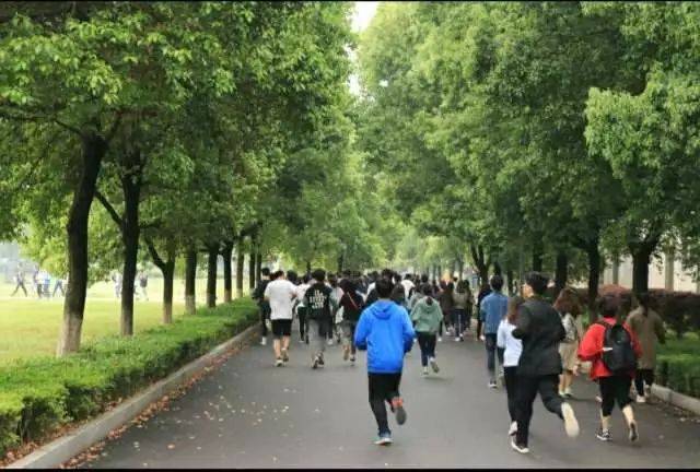 阳光晨跑 | 元气在清晨六点钟