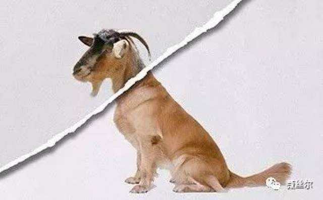 别被这些所谓的“干细胞美容”忽悠