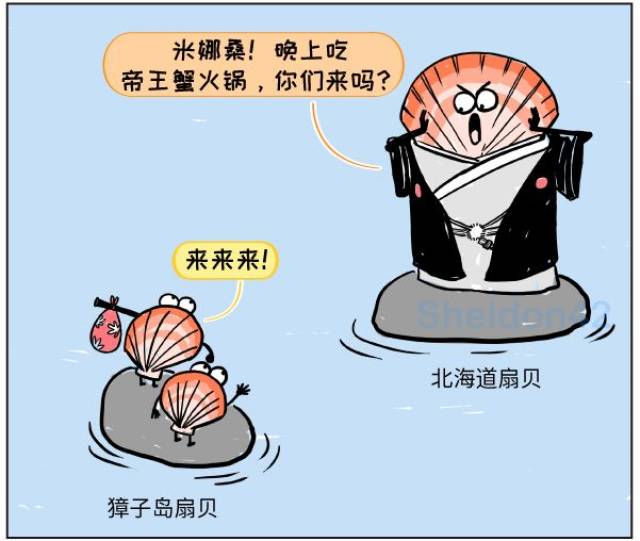 漫画 扇贝,你跑这么快干什么?粉丝都掉了!