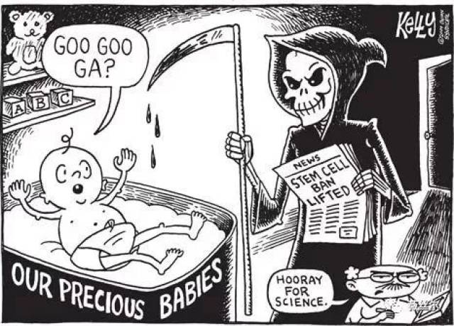 别被这些所谓的“干细胞美容”忽悠