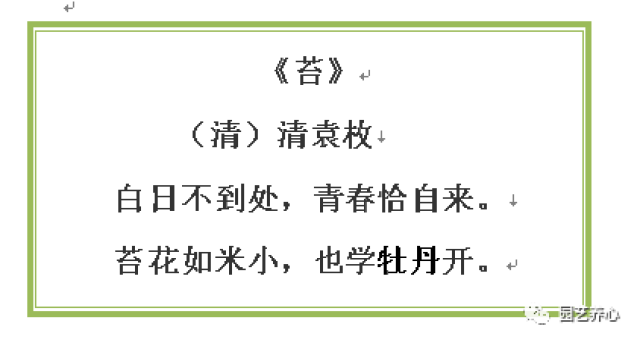 山里的孩子简谱_山里的孩子心爱山简谱(3)