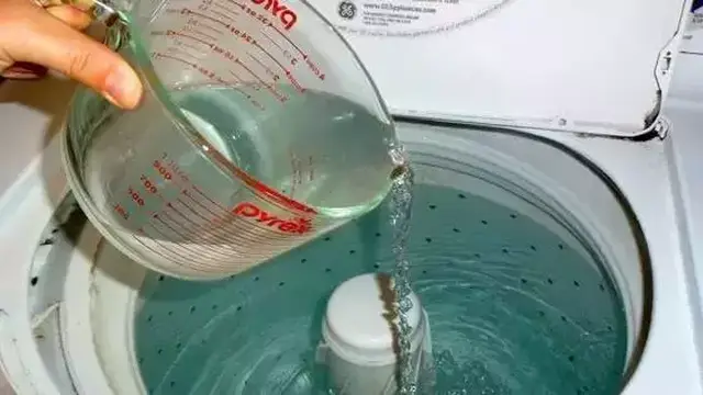 158113b325244808be0bc31f2649f161.jpg