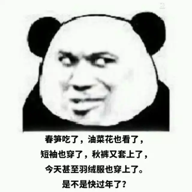 王晨:手机断食了解减肥法排毒一下?-时尚频道-米饭酵素和菜盘子v手机图片