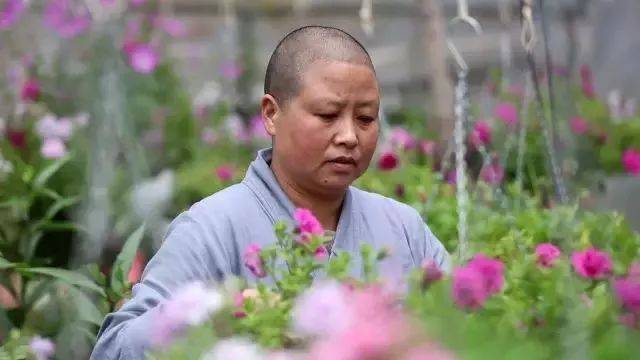 中国最美尼姑庵,不烧香只种花,斋饭好吃到你想出家