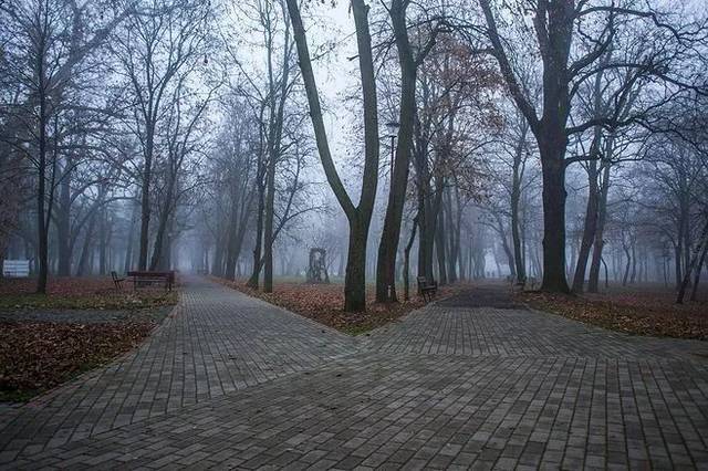 之团建来了.曲院风荷迷案!