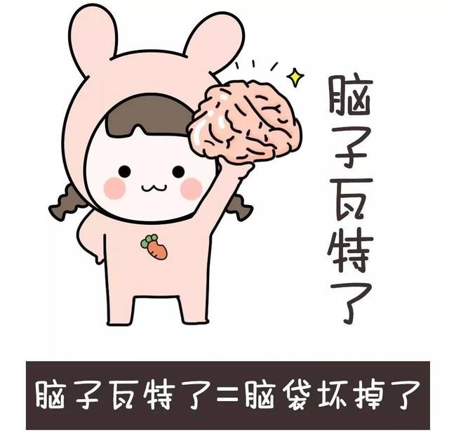 " 有一种聊天叫 "劈情操" 有一种疑问叫 "侬脑子瓦特啦?