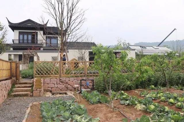 500万回归田园牧歌式生活,徽派独栋小别墅,一亩菜园果园,养鹅听越剧