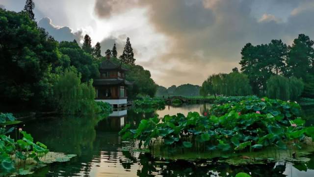 之团建来了.曲院风荷迷案!