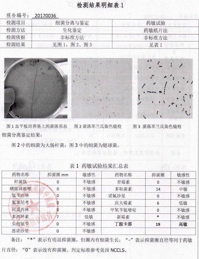 震惊!你还敢不做药敏实验继续凭感觉使用抗生素吗?