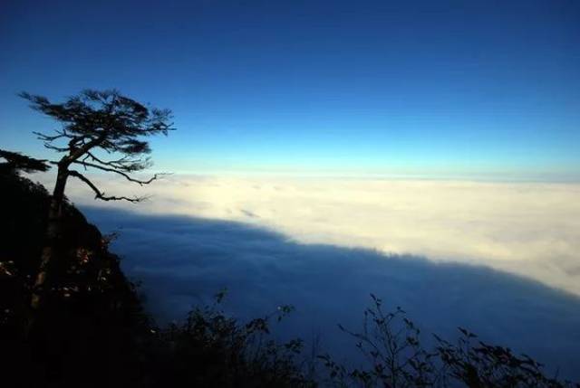 寻游"山水秘境"瓦屋山,周末一起赏杜鹃花海,观日出云海!