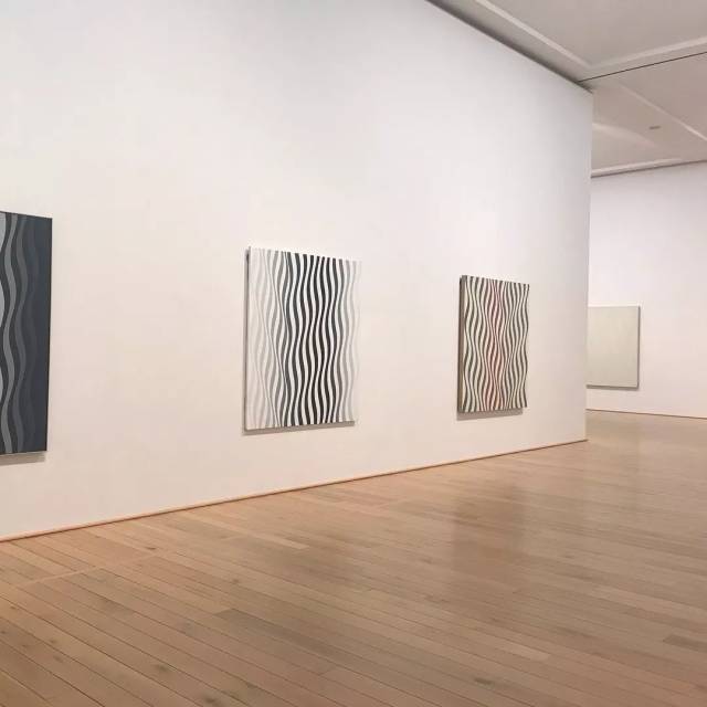 布里奇特·赖利(bridget riley 近38年来首次大型个展亮相日本dic