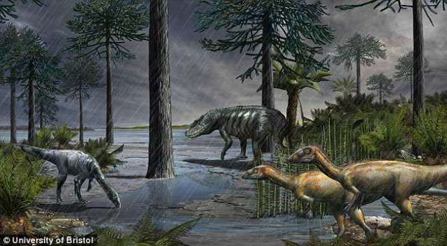 不只是受害者 恐龙时代也受益于2.32亿年前的大灭绝