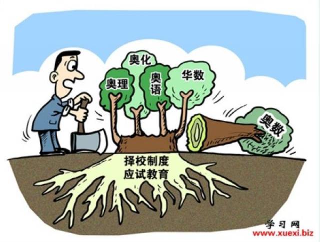 竞赛得奖：虽高考不再加分，但仍然是名校敲门砖