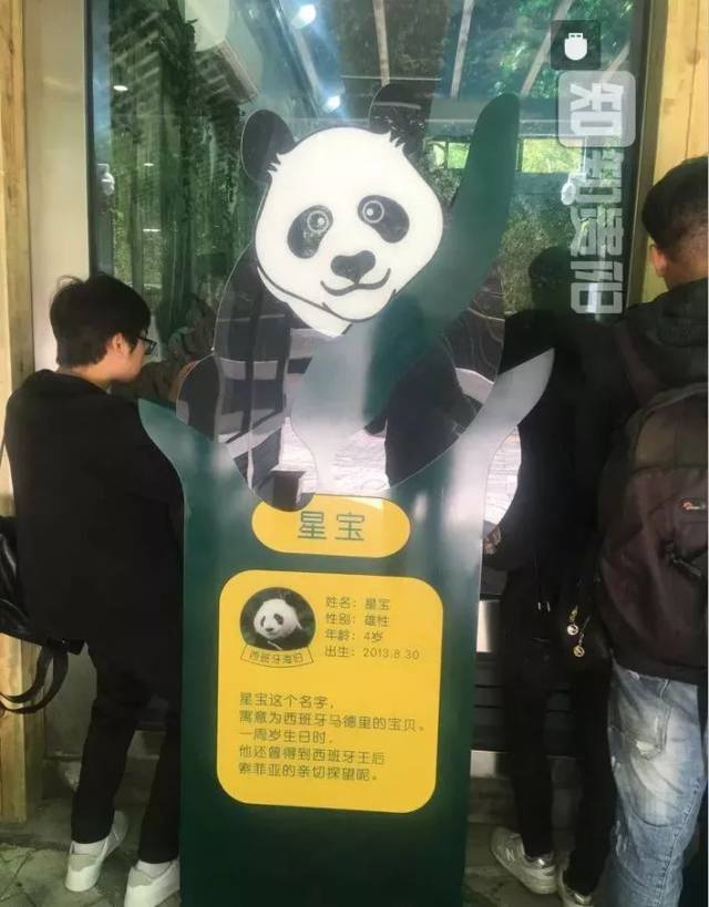 贵阳人 本周末可以去黔灵山公园动物园免费看大熊猫啦