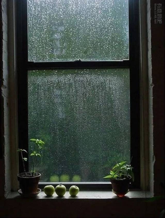 雨滴敲打树叶上,轻扣窗檐,燕子穿梭于雨里,雨点开始急促,窗外越来越