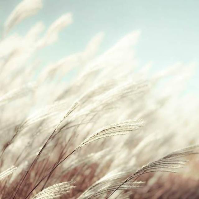3f5e14aabc1a4c2aacf395b173d259c0.jpeg