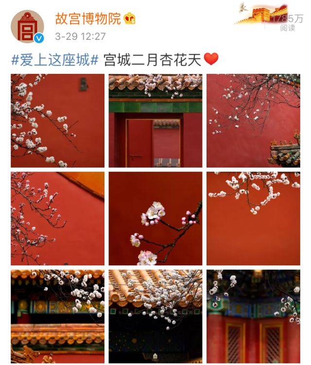 故宫:我的花都开好了,你怎么还不来?