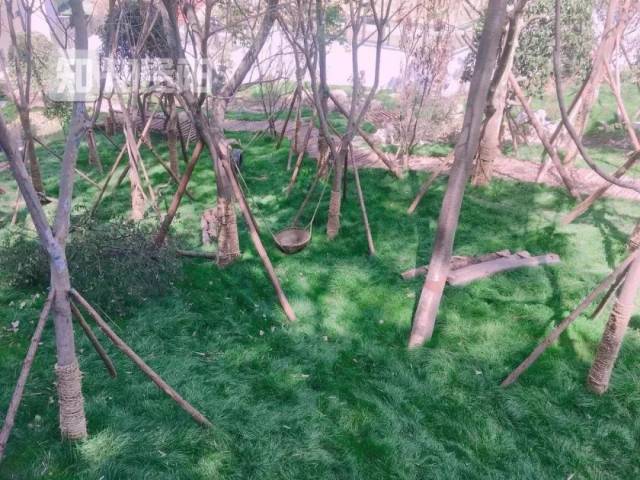 贵阳人 本周末可以去黔灵山公园动物园免费看大熊猫啦