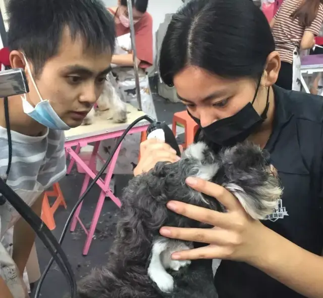 球速体育- 球速体育官方网站- 球速体育APP下载一级演员啜二勇：女儿是知名演员被陈道明赏识观众也很喜欢