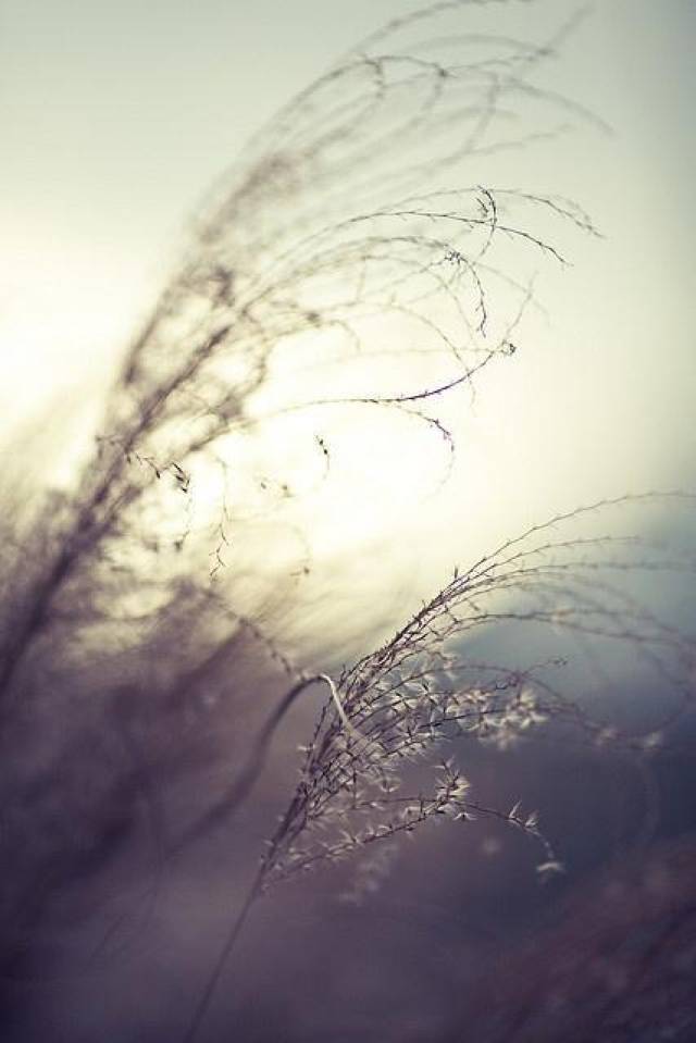 f2ac5a6245f744f59a8163db4d2bd229.jpeg