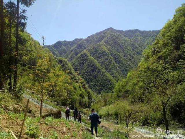 文/柯蓝题记—泗水坪,平利县正阳镇最远,最偏僻的一个村,2018年,因