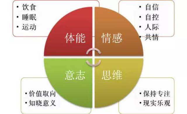 精力管理,而非时间--新时代下个人生涯跃升 |