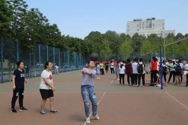 袁淑芬 林菲菲 江诗萌 潘雅婷 费圣颖 孔维莎 刘依丹 张 辰 曹绮明