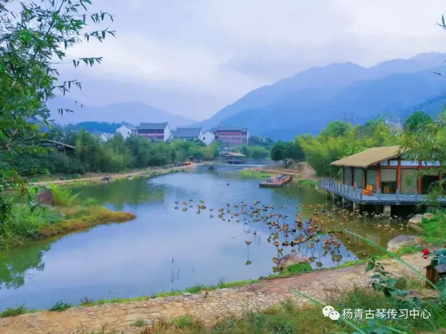 琴课|六月『半山听雨』与杨青老师相约青山如画古琴小镇