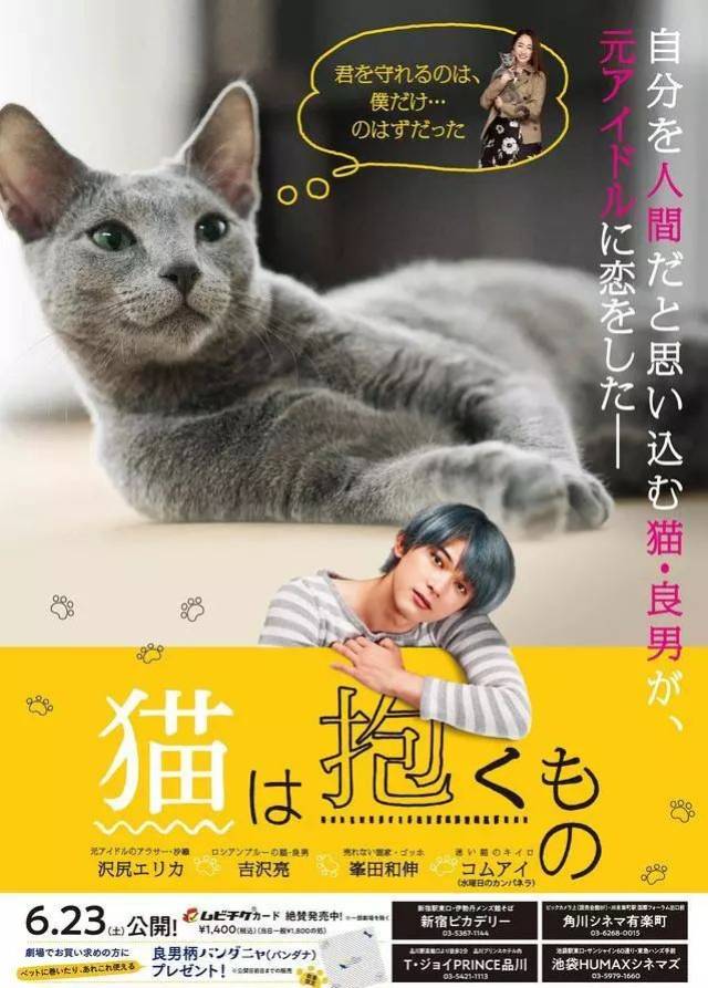 快来吸猫!吉沢亮化身猫男的电影《拥抱猫咪》海报公开