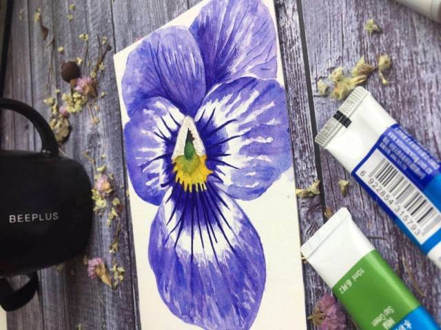 零基础绘画教程-水彩《紫罗兰》