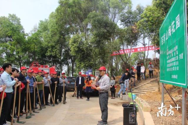 共建百岁山梅花园!梅州市妇联积极参与梅州市树木园植树活动