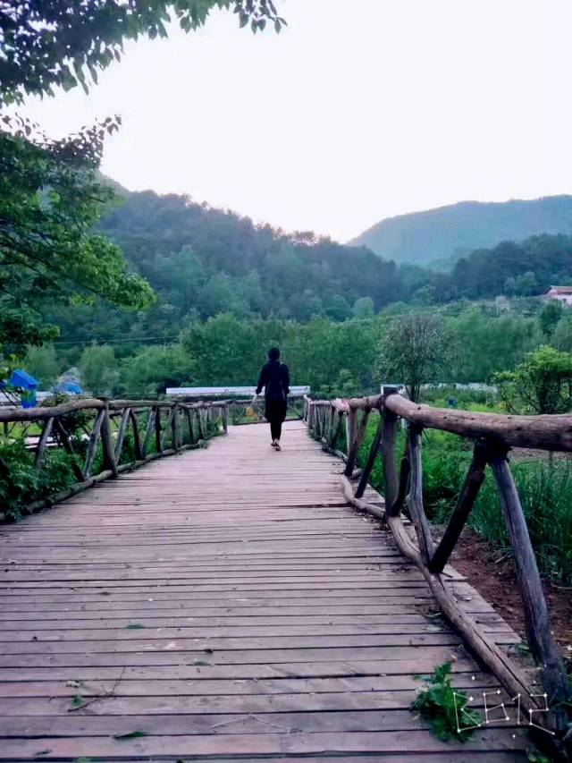 天然氧吧,最美佛坪-旅游频道-攻略搜狐香港自助游v攻略手机图片