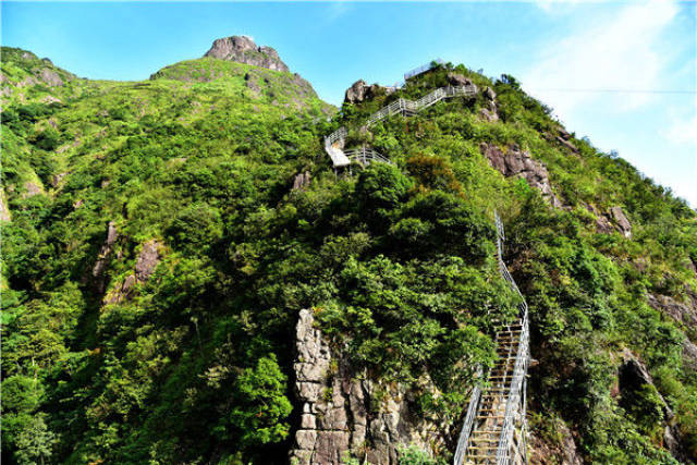 赏花爬山挑战最高最险的玻璃天梯,五一假期清远金子山