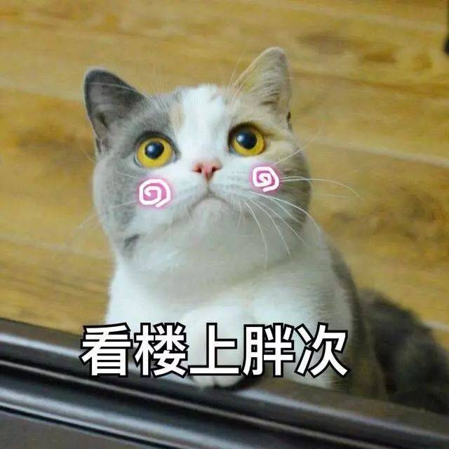 这么low的游泳教学视频,你居然还看得下去?