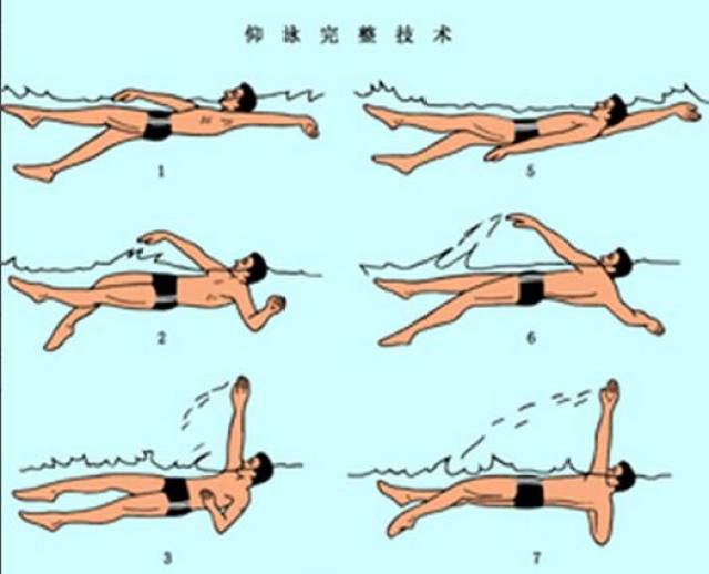 这么low的游泳教学视频,你居然还看得下去?