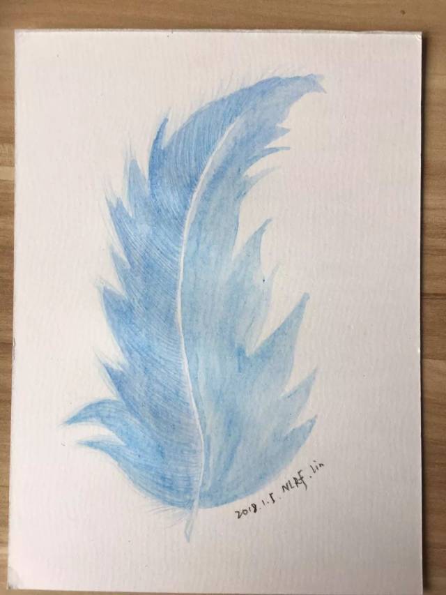 零基础绘画教程-彩铅《蓝色羽毛》