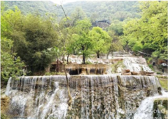 【优惠旅游】皖南小黄龙"宝峰岩" 桑葚果采摘欢乐一日游