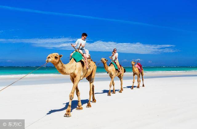 本人从没办理过护照,请问应该怎么办是长久有